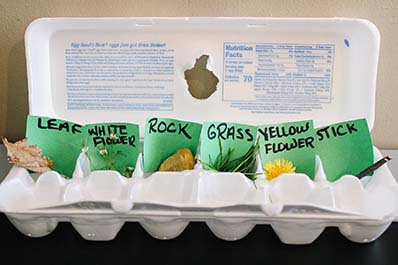 Outdoor scavenger hunt